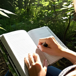 **A person journaling outdoors in a serene natural setting, sunlight dappling through the leaves. The focus is on emotional awareness and connection with nature.** (Captures the essence of emotional journaling and the mind-body connection.)
