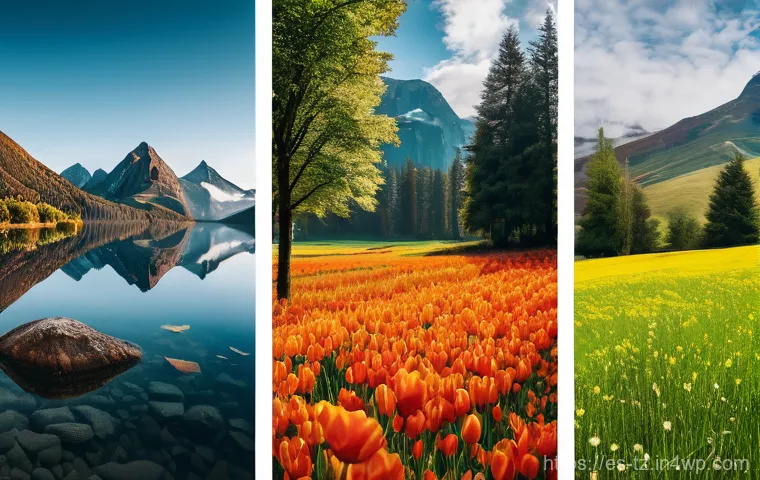 감정 해독을 통한 자기 변화의 과정 - Here are three detailed image prompts in English, designed for image generation while strictly adher...